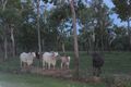 Property photo of 815 Miles Road Batchelor NT 0845
