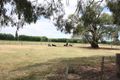 Property photo of 695 Bamawm Hall Road Bamawm VIC 3561