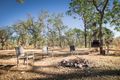 Property photo of 15 Northstar Road Acacia Hills NT 0822