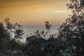Property photo of 14 Ti Tree Avenue Bonbeach VIC 3196