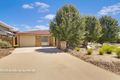 Property photo of 62 Patrick White Circuit Franklin ACT 2913