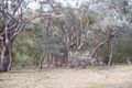 Property photo of 199 Ti Tree Drive Eildon VIC 3713