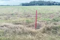 Property photo of 99 Mount Nutt Road Bowen QLD 4805