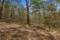 Property photo of 4 Inglis Court Laceys Creek QLD 4521