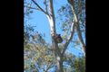 Property photo of 61A Tanilba Road Lemon Tree Passage NSW 2319