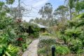 Property photo of 11 Linwood Avenue Aldgate SA 5154