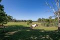 Property photo of 10 Ladewigs Road Karrabin QLD 4306
