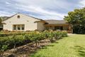 Property photo of 1 Andrew Avenue Millswood SA 5034