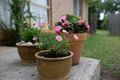 Property photo of 10 Railway Avenue Colo Vale NSW 2575