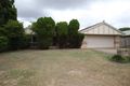 Property photo of 9 Stag Court Upper Coomera QLD 4209