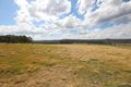 Property photo of 654 Bryans Gap Road Tenterfield NSW 2372