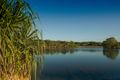 Property photo of 28 Thomson Street Durack NT 0830