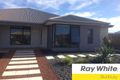 Property photo of 25 Epidote Loop Dalyellup WA 6230
