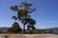 Property photo of 19 Free Street White Beach TAS 7184