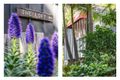 Property photo of 28 Bellevue Avenue Avalon Beach NSW 2107