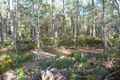Property photo of 46 Berne Court Grindelwald TAS 7277