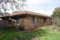 Property photo of 13 Bilbul Avenue Rosebud VIC 3939