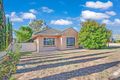 Property photo of 49 Harvey Avenue Netley SA 5037