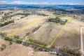 Property photo of 133 Willow Tree Lane Mount Rankin NSW 2795