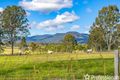 Property photo of 189 Larch Road Tamborine QLD 4270