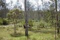 Property photo of 167-183 Minugh Road Jimboomba QLD 4280