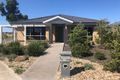Property photo of 71 Elation Boulevard Doreen VIC 3754