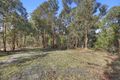 Property photo of 224 Ricardo Road Mirboo North VIC 3871