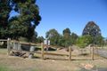 Property photo of 42 Wyang Glen Cranebrook NSW 2749