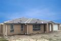 Property photo of 18 Threadtail Street Chisholm NSW 2322