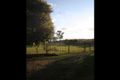 Property photo of 14 Con Brio Boulevard Upper Coomera QLD 4209