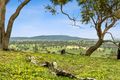 Property photo of 147 Racecourse Road Redesdale VIC 3444