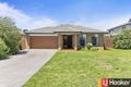 Property photo of 35 Manuka Grove Wyndham Vale VIC 3024