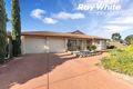 Property photo of 17 Premier Close Andrews Farm SA 5114