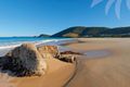 Property photo of 44 Newman Avenue Blueys Beach NSW 2428