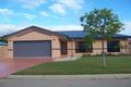 Property photo of 15 Steele Place Kirwan QLD 4817