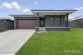 Property photo of 76 Wicklow Road Chisholm NSW 2322