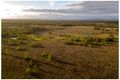 Property photo of 242-292 Goebels Road Mutdapilly QLD 4307