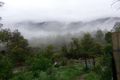 Property photo of Cemetery Road Rocky Hall NSW 2550