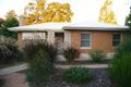 Property photo of 8 Kurrajong Avenue Renmark SA 5341