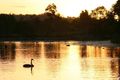 Property photo of 13 Fitzwilliam Drive Sippy Downs QLD 4556