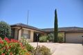Property photo of 52 Lawrie Terrace Waikerie SA 5330
