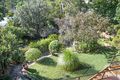 Property photo of 125 Victor Road Dee Why NSW 2099