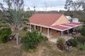 Property photo of 503 Gin Gin Mount Perry Road Dalysford QLD 4671