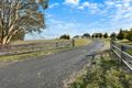 Property photo of 207 Meadows Road Hazelgrove NSW 2787