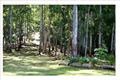 Property photo of 263 Davis Road Jiggi NSW 2480