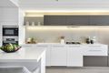 Property photo of 100/27 Cunningham Street Newstead QLD 4006