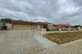 Property photo of 11 Picton Terrace Alexander Heights WA 6064