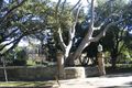 Property photo of 68 Darling Point Road Darling Point NSW 2027