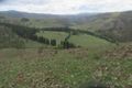 Property photo of 1218 Dry Plains Road Wambrook NSW 2630