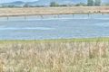 Property photo of 123 Lower Cressbrook Road Cressbrook QLD 4313